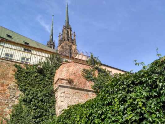 Petrov je kamenný ostroh v městské části Brno-střed, v jihozápadní části katastrálního území Město Brno. Patří mezi významná místa Brna i celé Moravy. Nachází se na něm národní kulturní památka katedrála svatého Petra a Pavla a přilehlé sídlo brněnského biskupství. Wikipedie