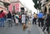 demonstrující vzali i "ostré" psy